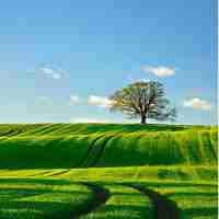 图‌像﻿识​别​基‌础​知​识​